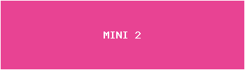MINI 2
